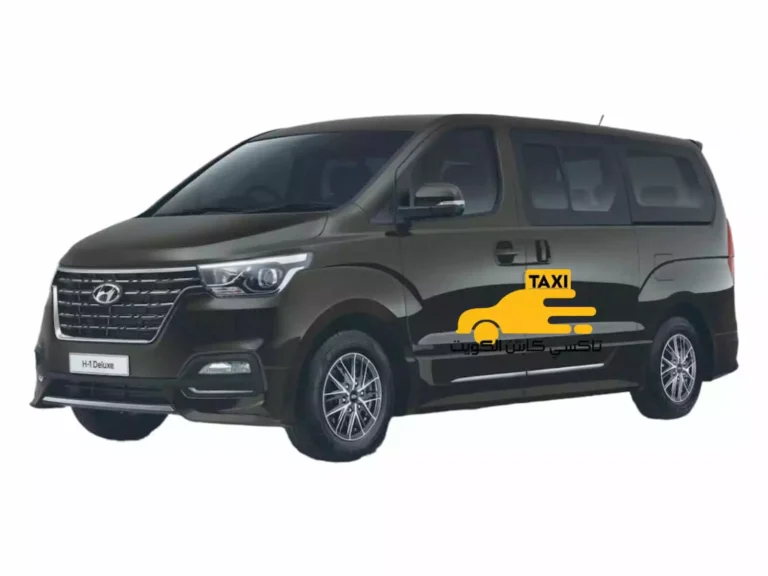 فان تاكسي 51172103